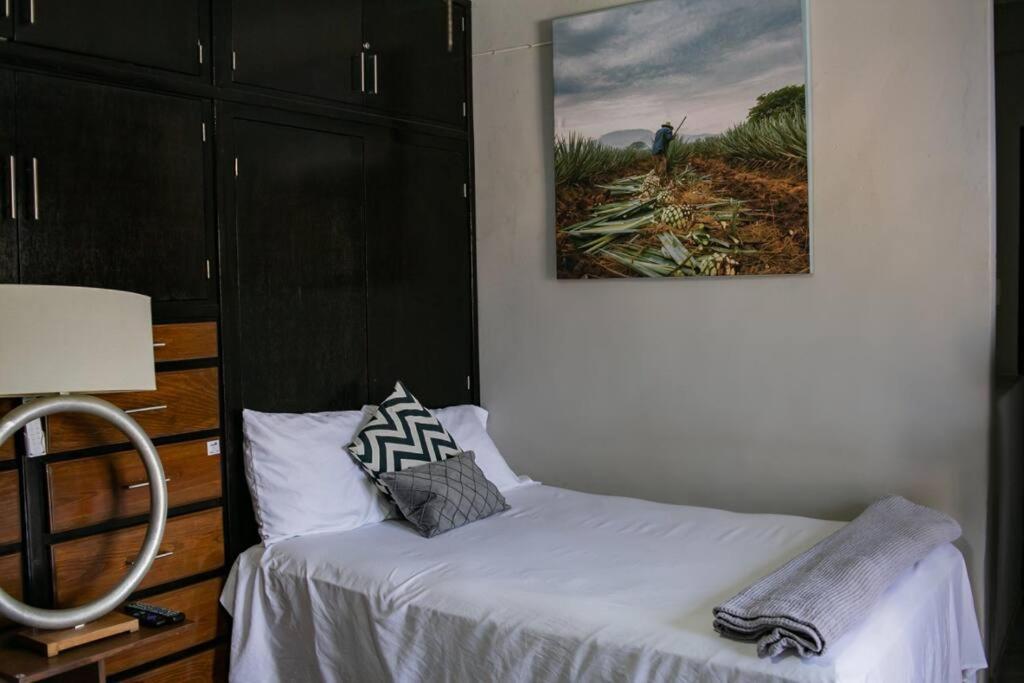 테킬라 Hermoso Departamento Centrico Con Servicios 아파트 외부 사진