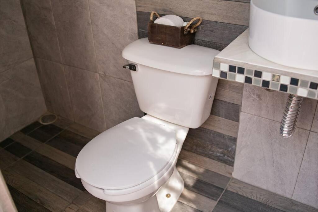 테킬라 Hermoso Departamento Centrico Con Servicios 아파트 외부 사진
