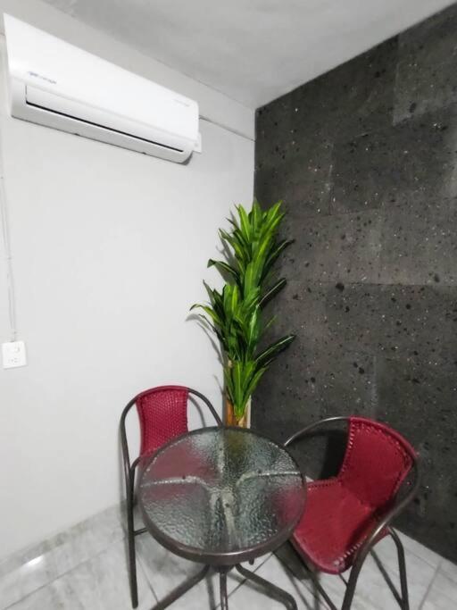 테킬라 Hermoso Departamento Centrico Con Servicios 아파트 외부 사진