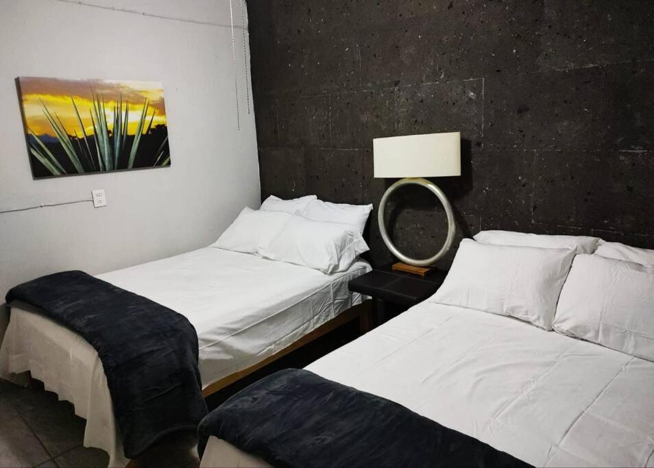 테킬라 Hermoso Departamento Centrico Con Servicios 아파트 외부 사진